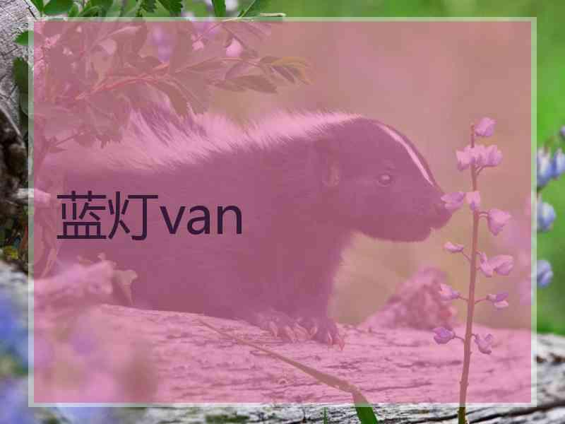 蓝灯van