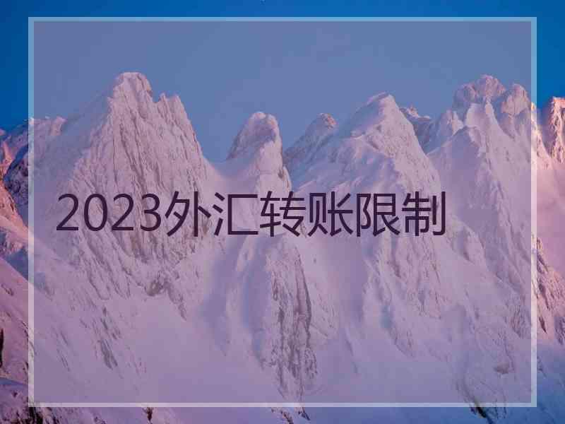 2023外汇转账限制