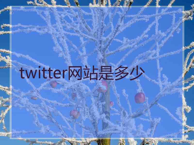 twitter网站是多少