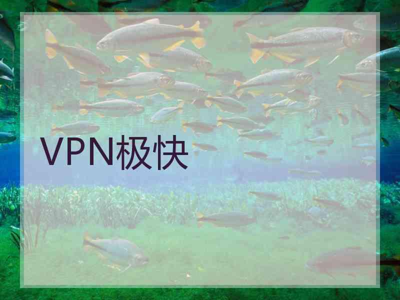 VPN极快