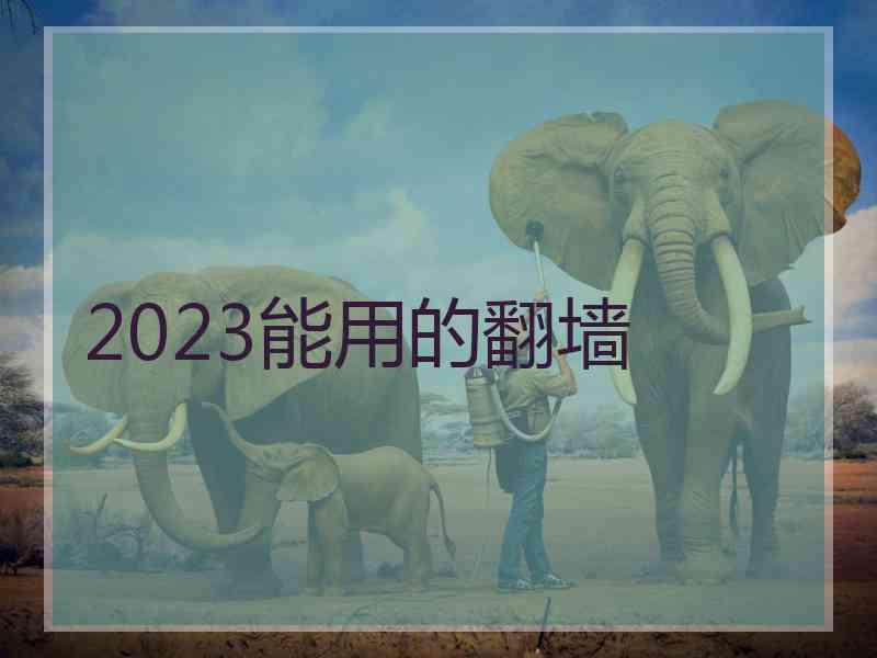 2023能用的翻墙