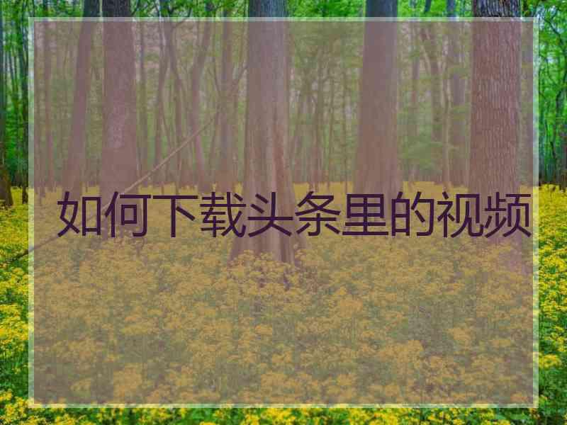 如何下载头条里的视频