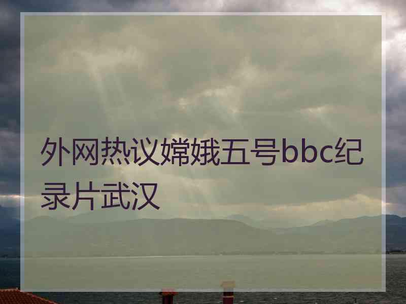 外网热议嫦娥五号bbc纪录片武汉