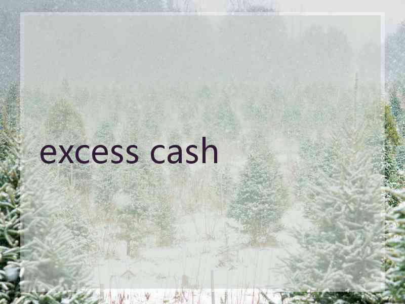 excess cash