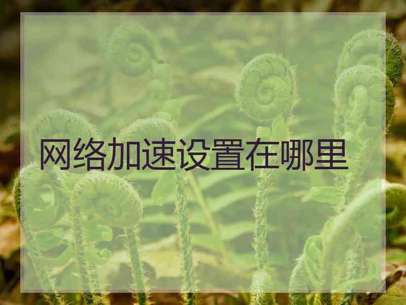 网络加速设置在哪里