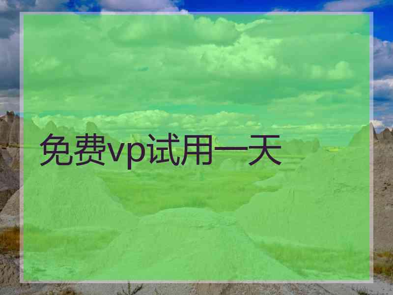 免费vp试用一天