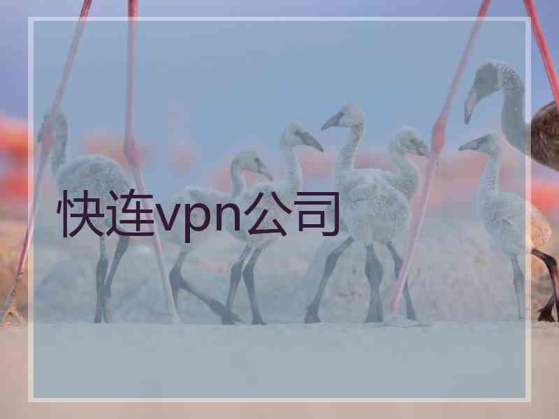 快连vpn公司