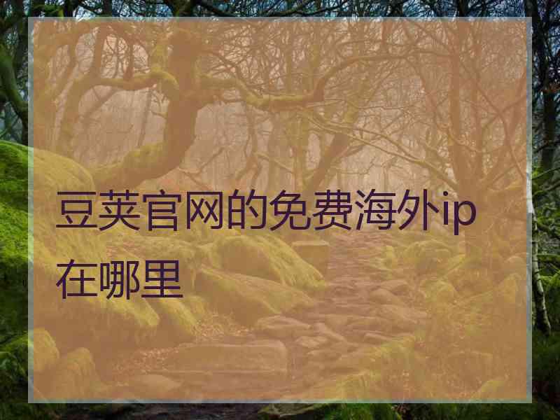 豆荚官网的免费海外ip在哪里