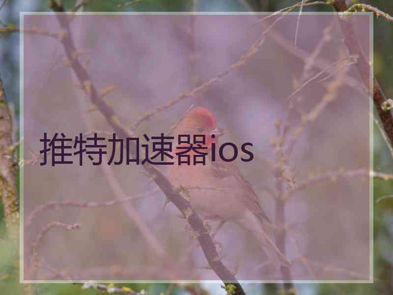 推特加速器ios