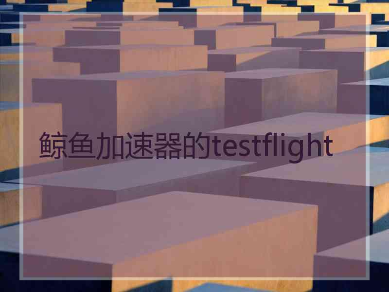 鲸鱼加速器的testflight