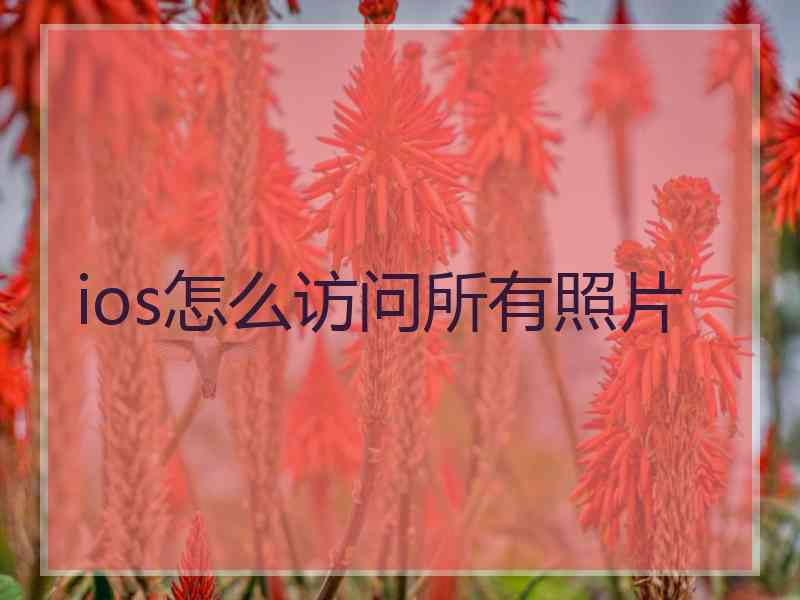 ios怎么访问所有照片