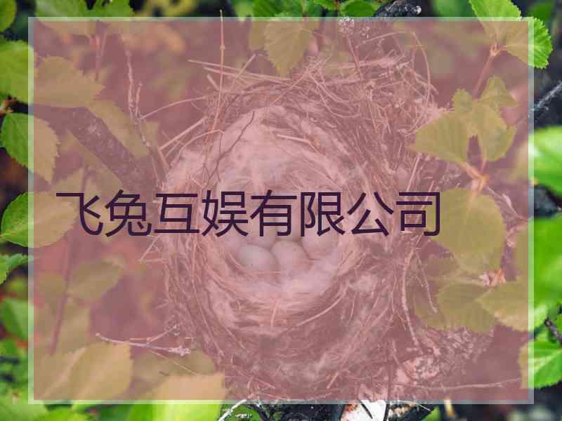 飞兔互娱有限公司