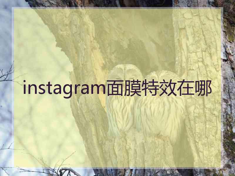 instagram面膜特效在哪