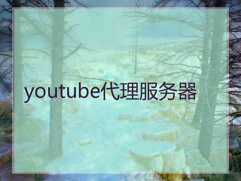 youtube代理服务器