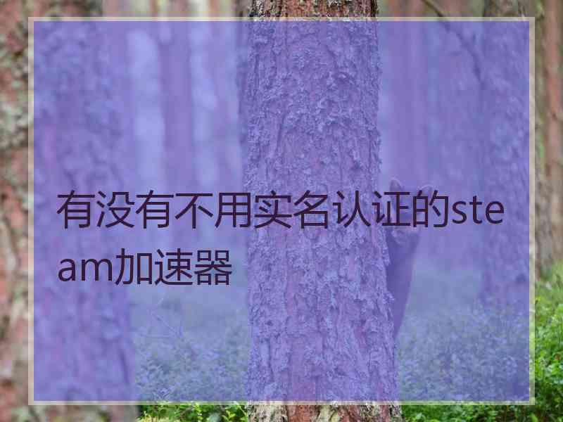 有没有不用实名认证的steam加速器