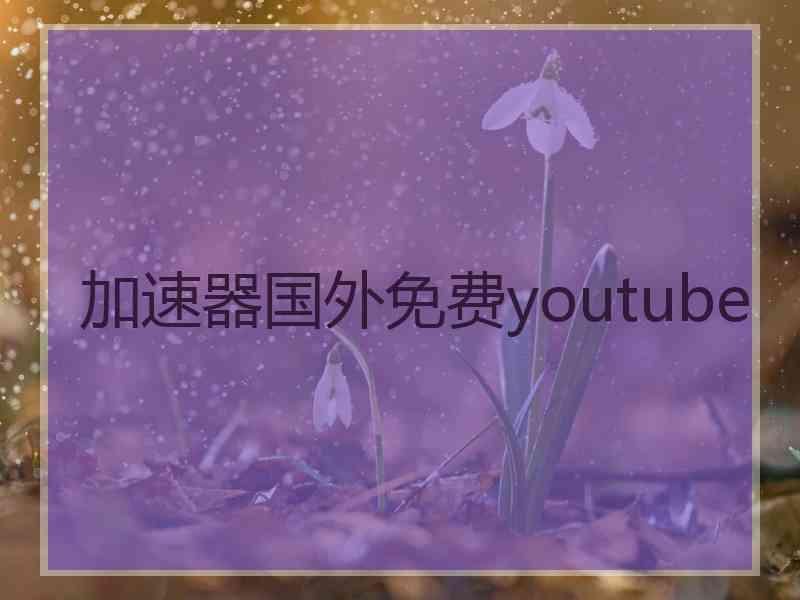 加速器国外免费youtube