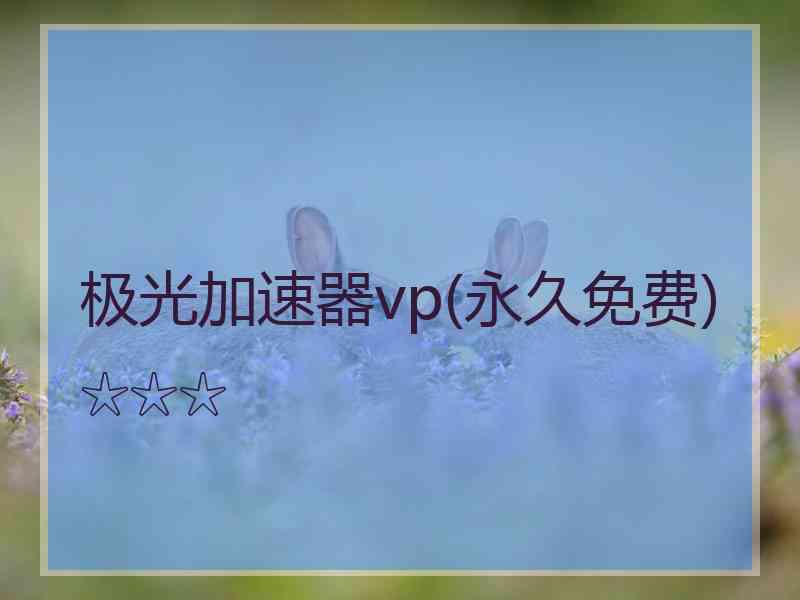 极光加速器vp(永久免费)☆☆☆