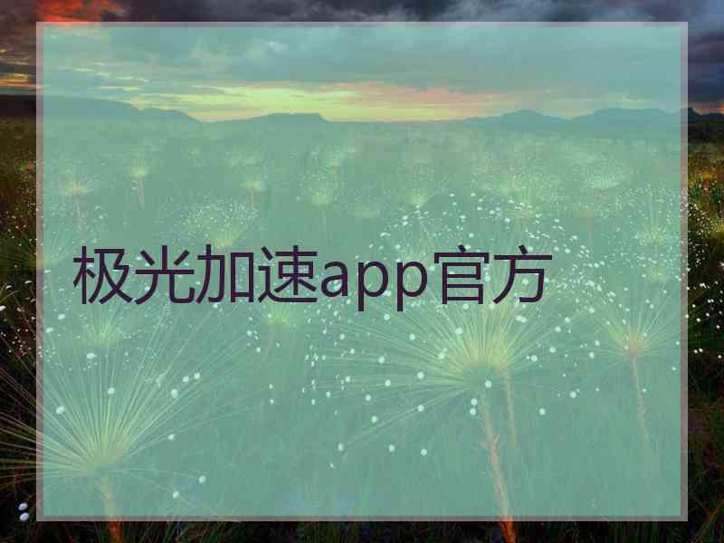 极光加速app官方