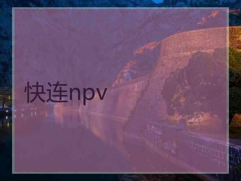 快连npv