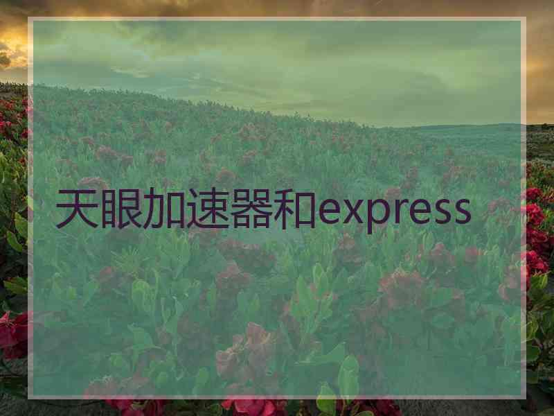 天眼加速器和express