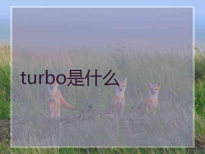 turbo是什么