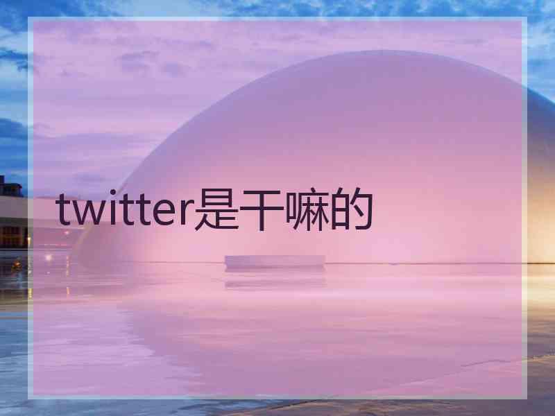 twitter是干嘛的