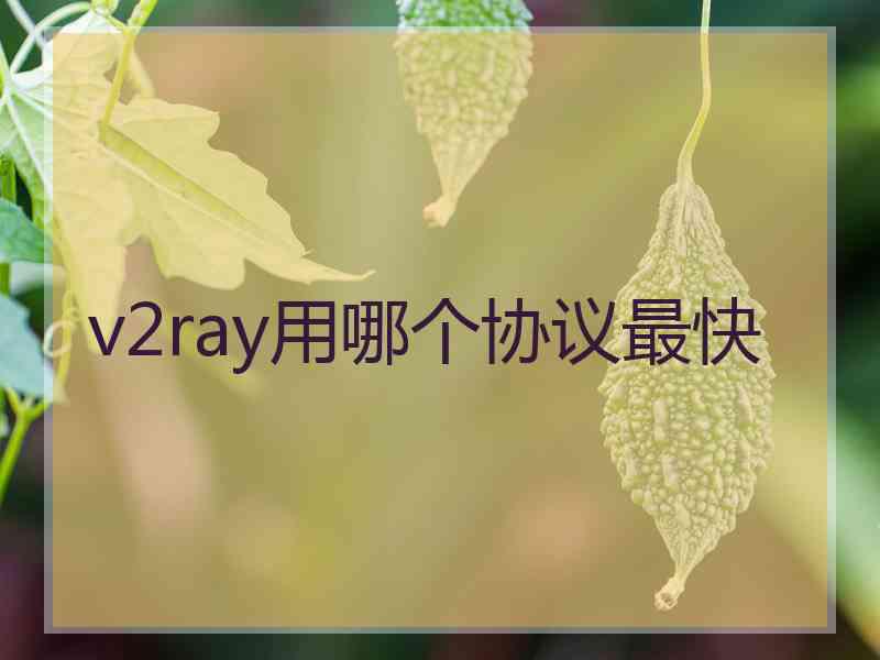 v2ray用哪个协议最快