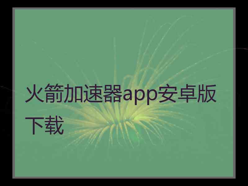 火箭加速器app安卓版下载