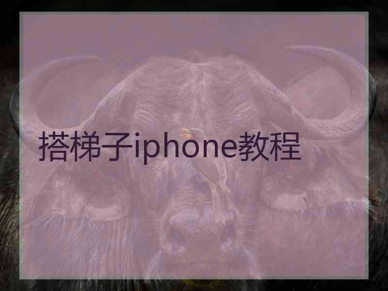 搭梯子iphone教程