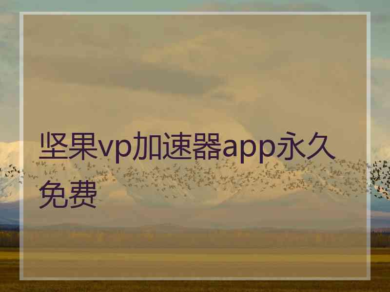 坚果vp加速器app永久免费