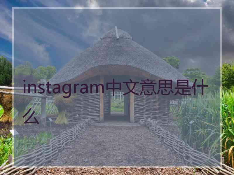 instagram中文意思是什么