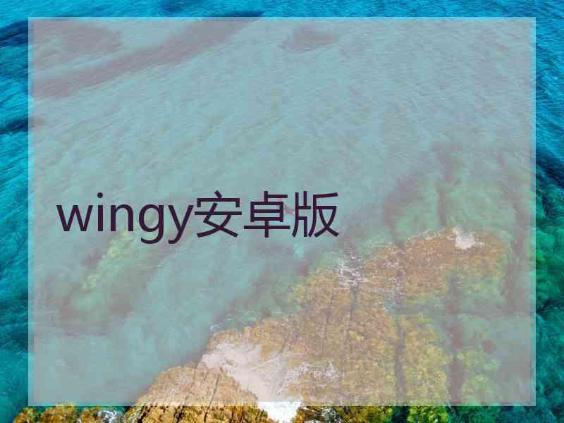 wingy安卓版