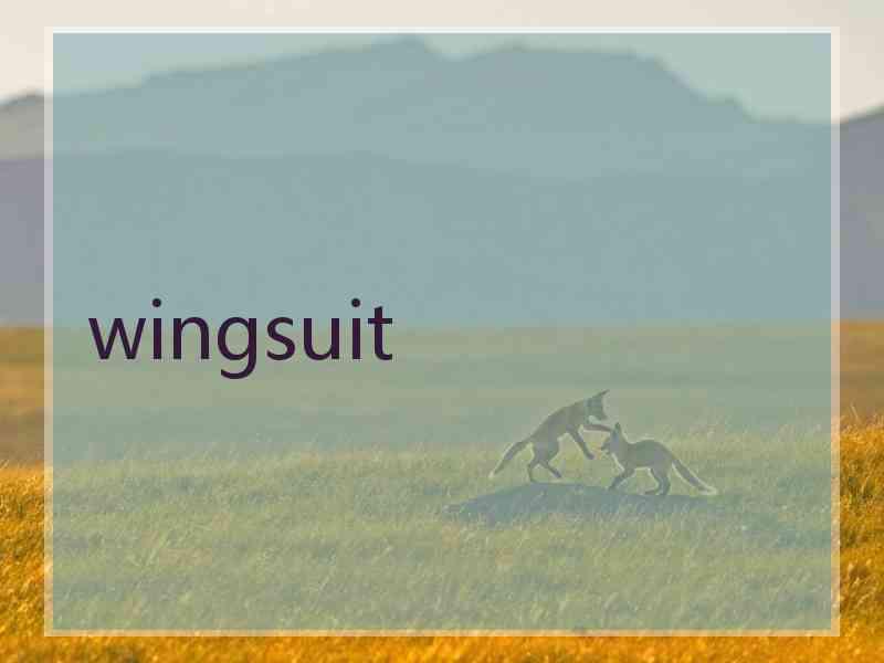 wingsuit