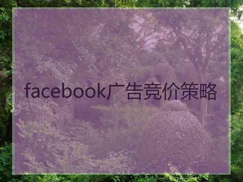 facebook广告竞价策略