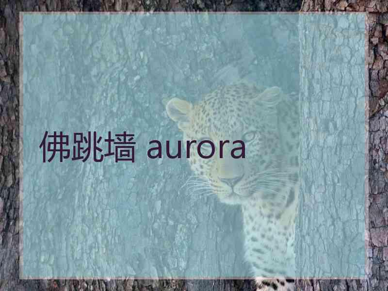 佛跳墙 aurora