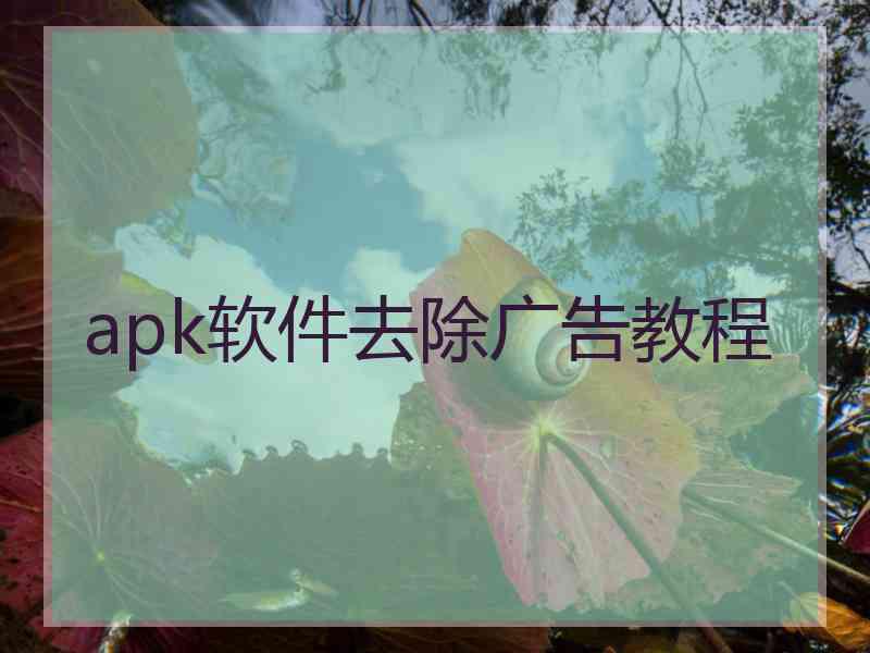 apk软件去除广告教程