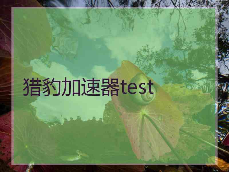 猎豹加速器test