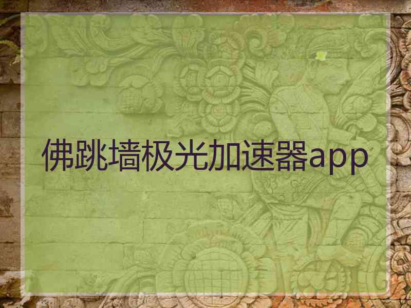 佛跳墙极光加速器app