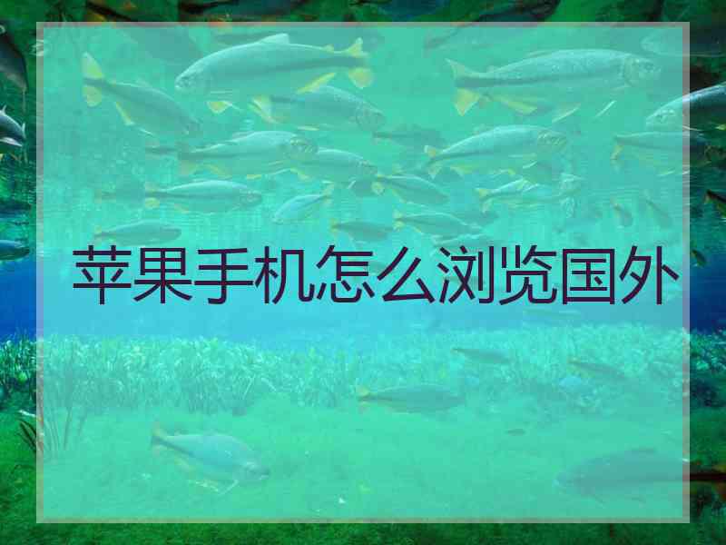 苹果手机怎么浏览国外