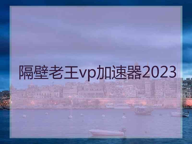 隔壁老王vp加速器2023