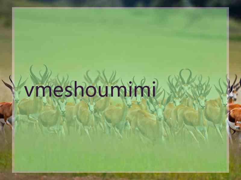 vmeshoumimi