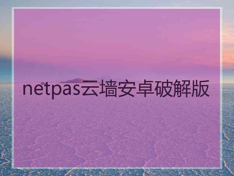 netpas云墙安卓破解版