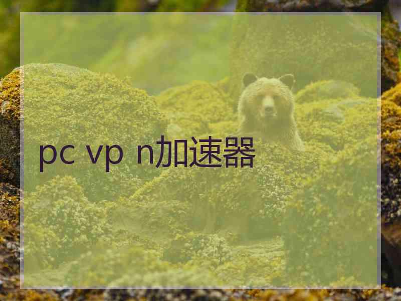 pc vp n加速器