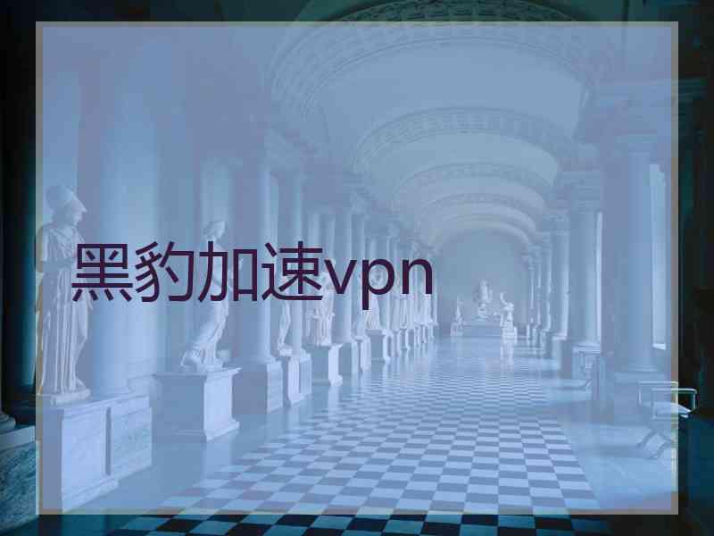 黑豹加速vpn