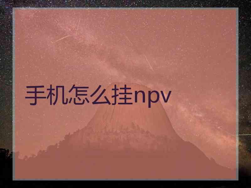 手机怎么挂npv