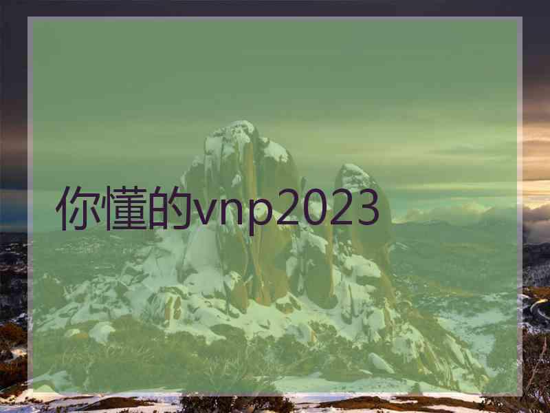 你懂的vnp2023