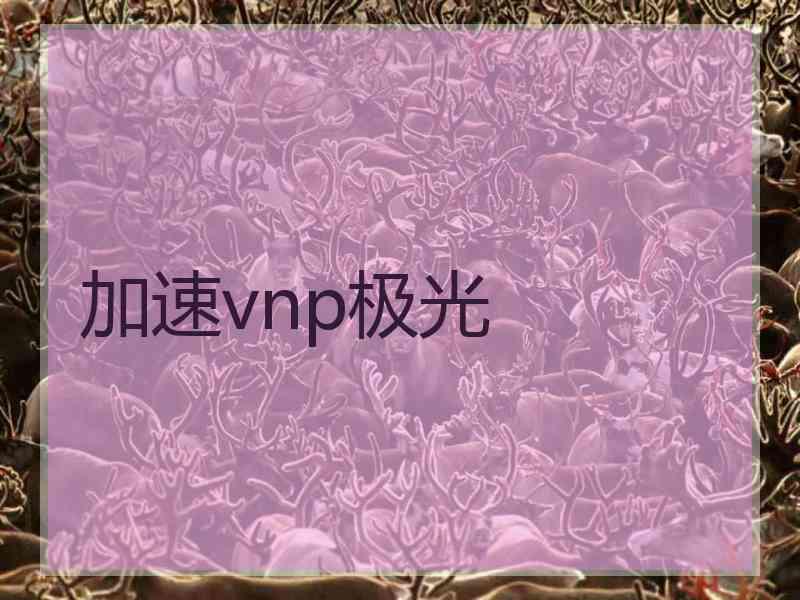 加速vnp极光