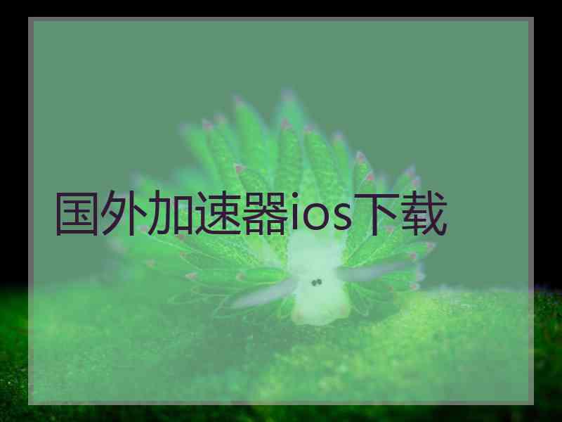 国外加速器ios下载