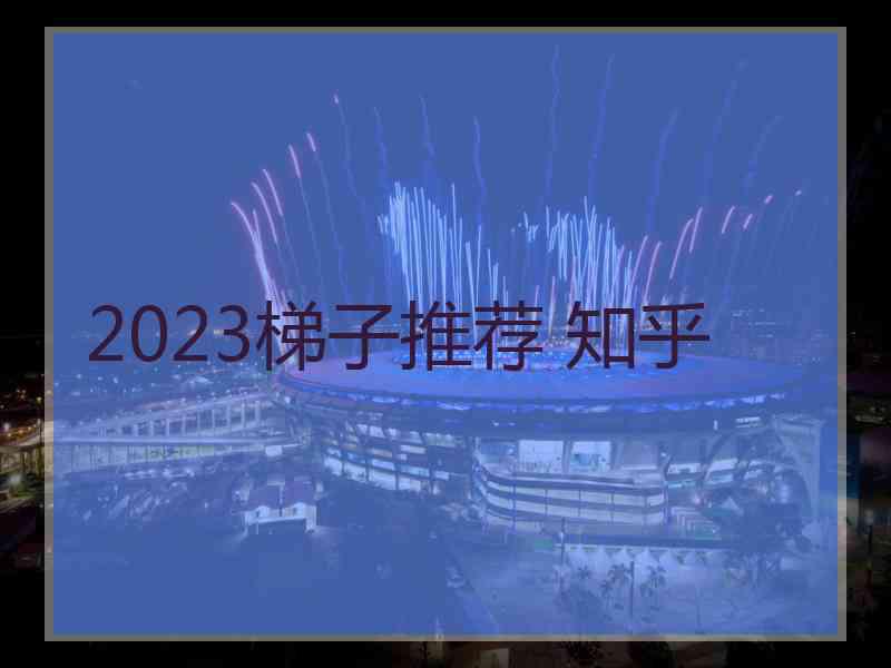 2023梯子推荐 知乎