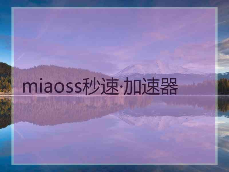 miaoss秒速·加速器